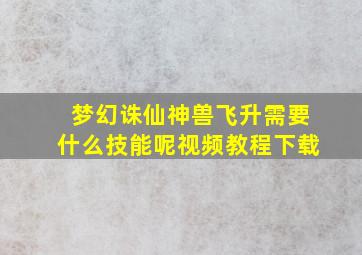 梦幻诛仙神兽飞升需要什么技能呢视频教程下载