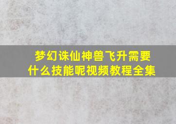 梦幻诛仙神兽飞升需要什么技能呢视频教程全集