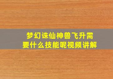 梦幻诛仙神兽飞升需要什么技能呢视频讲解