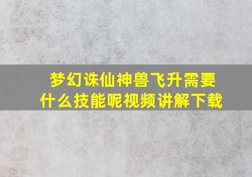 梦幻诛仙神兽飞升需要什么技能呢视频讲解下载