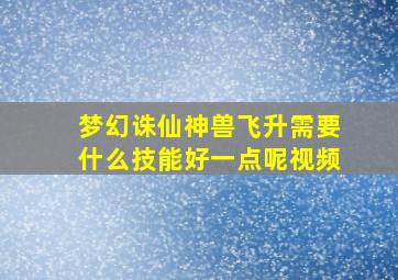 梦幻诛仙神兽飞升需要什么技能好一点呢视频