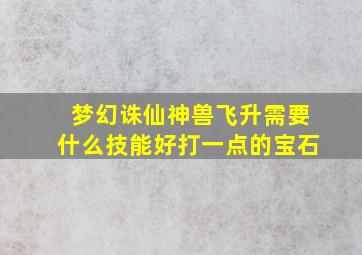 梦幻诛仙神兽飞升需要什么技能好打一点的宝石