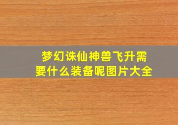 梦幻诛仙神兽飞升需要什么装备呢图片大全