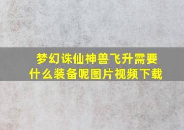 梦幻诛仙神兽飞升需要什么装备呢图片视频下载