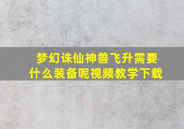 梦幻诛仙神兽飞升需要什么装备呢视频教学下载