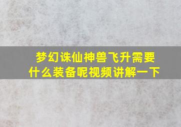 梦幻诛仙神兽飞升需要什么装备呢视频讲解一下