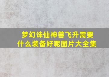 梦幻诛仙神兽飞升需要什么装备好呢图片大全集