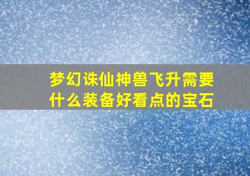 梦幻诛仙神兽飞升需要什么装备好看点的宝石