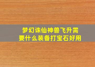 梦幻诛仙神兽飞升需要什么装备打宝石好用