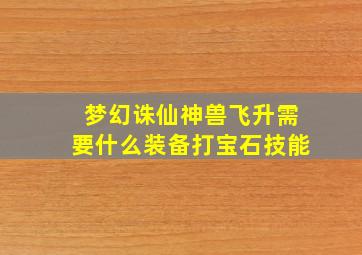 梦幻诛仙神兽飞升需要什么装备打宝石技能