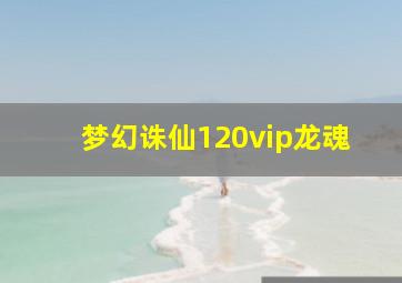 梦幻诛仙120vip龙魂