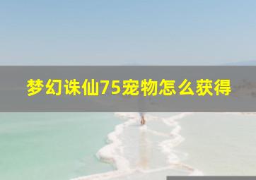 梦幻诛仙75宠物怎么获得