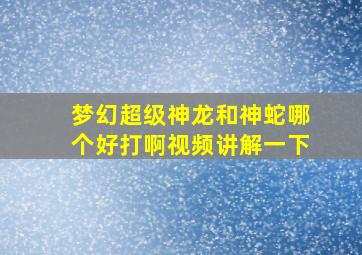 梦幻超级神龙和神蛇哪个好打啊视频讲解一下