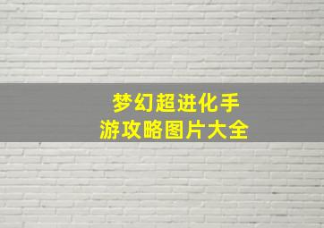 梦幻超进化手游攻略图片大全