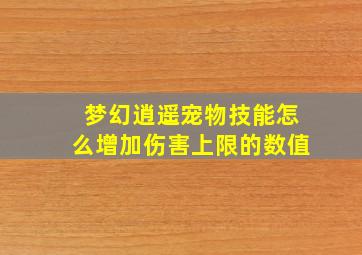 梦幻逍遥宠物技能怎么增加伤害上限的数值