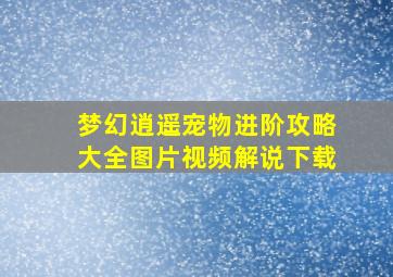 梦幻逍遥宠物进阶攻略大全图片视频解说下载