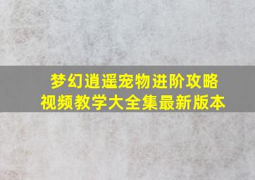 梦幻逍遥宠物进阶攻略视频教学大全集最新版本