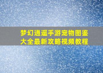 梦幻逍遥手游宠物图鉴大全最新攻略视频教程