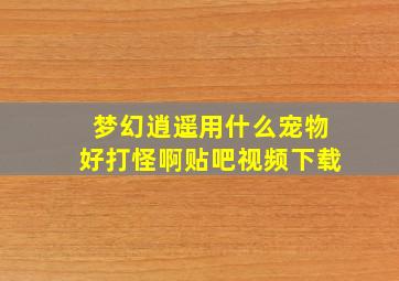 梦幻逍遥用什么宠物好打怪啊贴吧视频下载