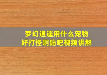 梦幻逍遥用什么宠物好打怪啊贴吧视频讲解