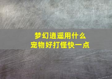 梦幻逍遥用什么宠物好打怪快一点