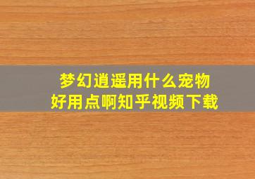 梦幻逍遥用什么宠物好用点啊知乎视频下载