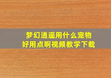 梦幻逍遥用什么宠物好用点啊视频教学下载