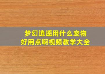 梦幻逍遥用什么宠物好用点啊视频教学大全