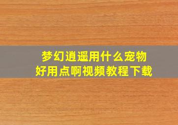 梦幻逍遥用什么宠物好用点啊视频教程下载