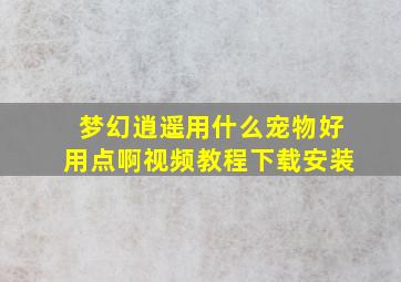 梦幻逍遥用什么宠物好用点啊视频教程下载安装