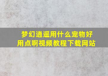 梦幻逍遥用什么宠物好用点啊视频教程下载网站