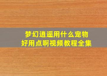 梦幻逍遥用什么宠物好用点啊视频教程全集