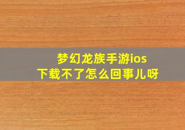 梦幻龙族手游ios下载不了怎么回事儿呀