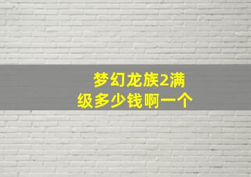 梦幻龙族2满级多少钱啊一个