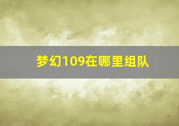 梦幻109在哪里组队