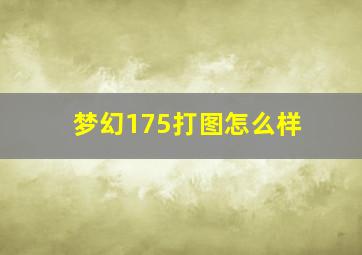 梦幻175打图怎么样