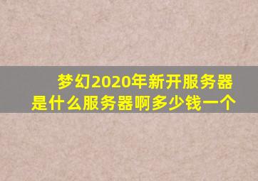 梦幻2020年新开服务器是什么服务器啊多少钱一个