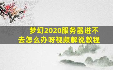 梦幻2020服务器进不去怎么办呀视频解说教程