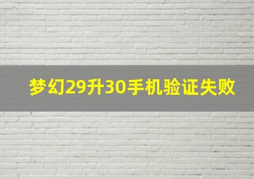 梦幻29升30手机验证失败