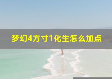 梦幻4方寸1化生怎么加点