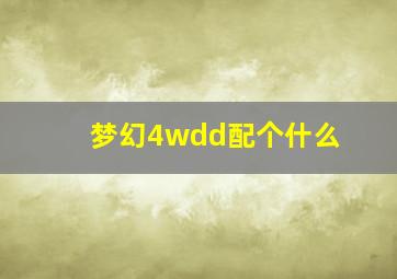 梦幻4wdd配个什么