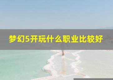 梦幻5开玩什么职业比较好