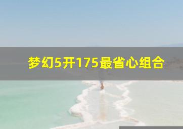 梦幻5开175最省心组合