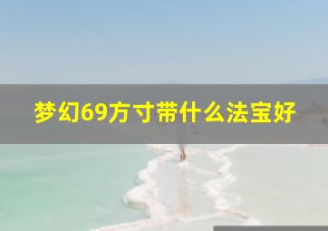 梦幻69方寸带什么法宝好