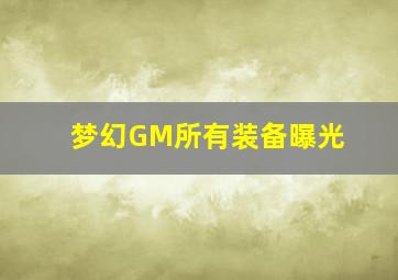 梦幻GM所有装备曝光