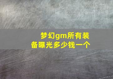 梦幻gm所有装备曝光多少钱一个