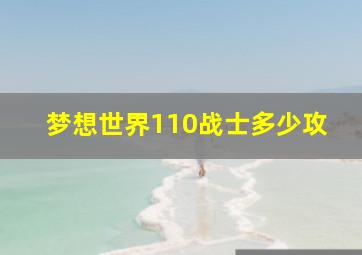 梦想世界110战士多少攻