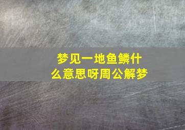 梦见一地鱼鳞什么意思呀周公解梦