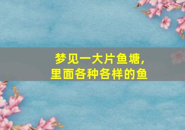 梦见一大片鱼塘,里面各种各样的鱼