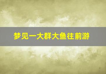 梦见一大群大鱼往前游